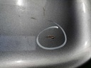 IMG_20250428_152331 (kleiner).jpg