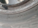 IMG_20250506_094353556.jpg