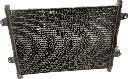 IMG_5186.png