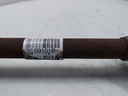 20250521_155746.jpg