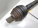 IMG_20250521_145732 (kleiner).jpg