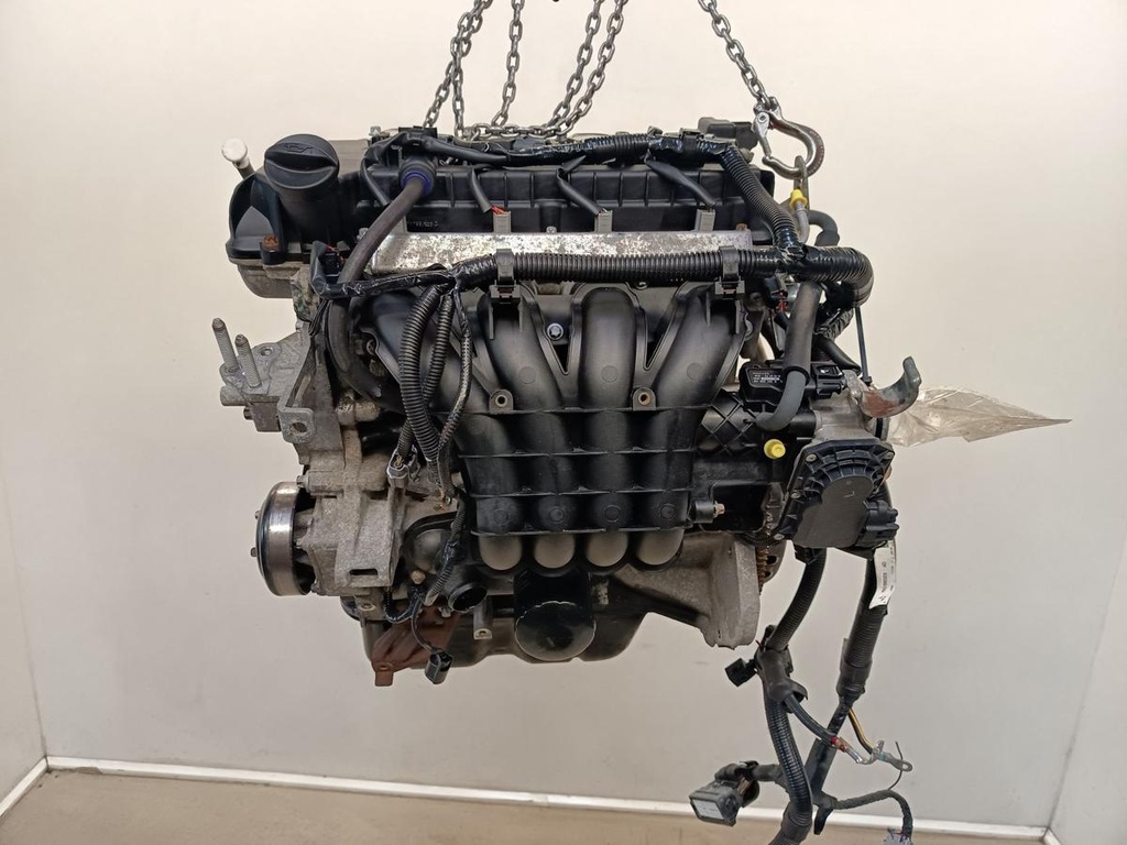 IMG_20241021_190900.jpg