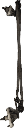 IMG_5375.png