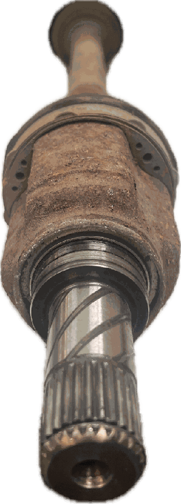 IMG_5759.png