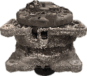 IMG_5756.png