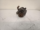 IMG_20250613_114402.jpg