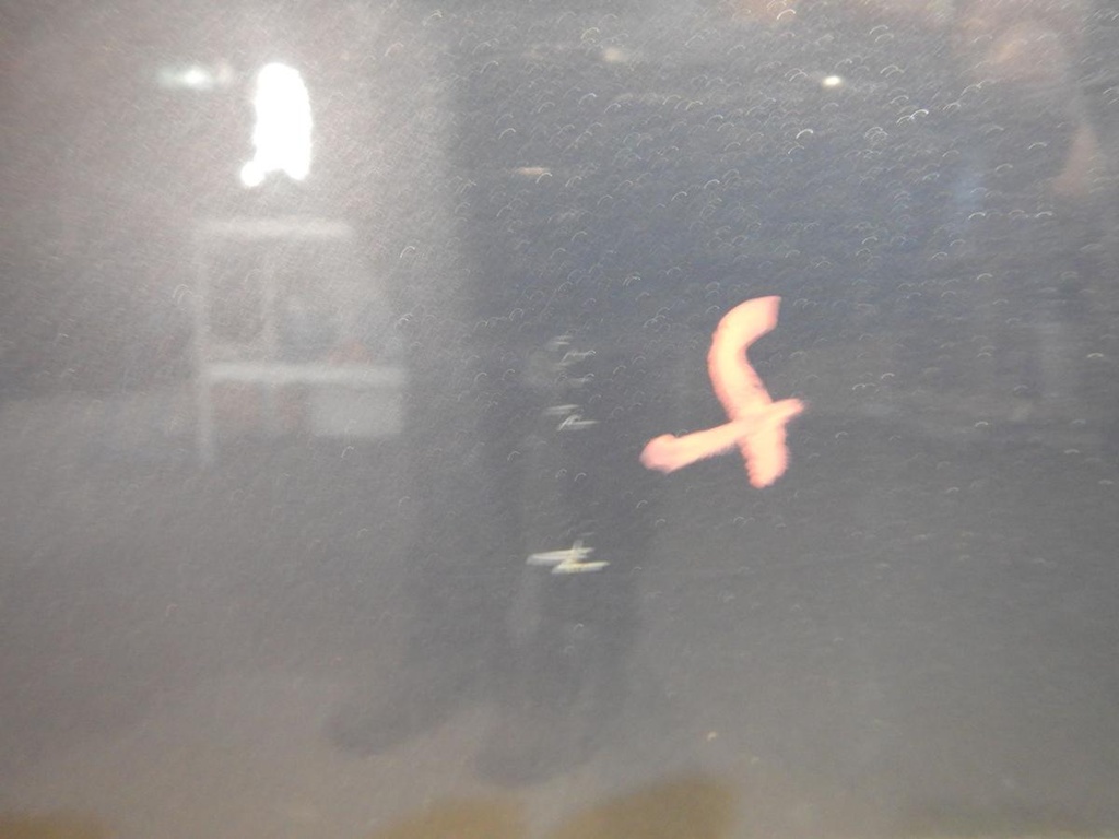 DSCN4909.JPG