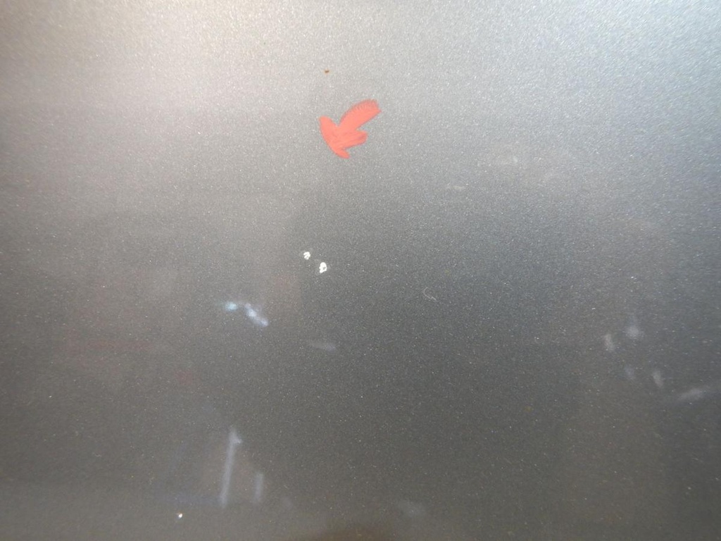 DSCN5035.JPG