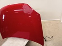 IMG_20250707_113737.jpg