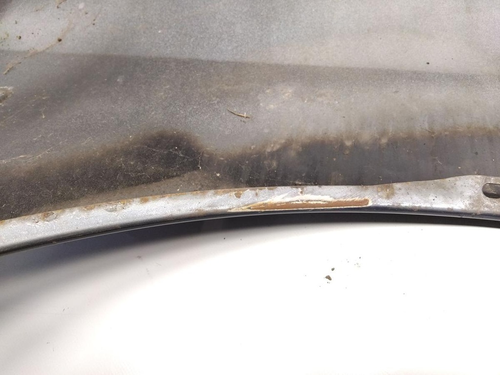IMG_20250709_134956.jpg