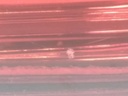 17527405528423325328696332548225.jpg