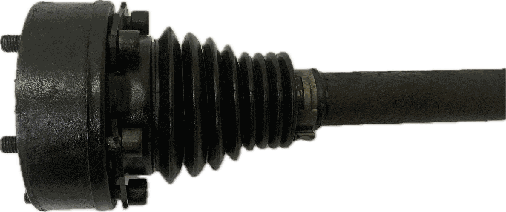 IMG_6761.png