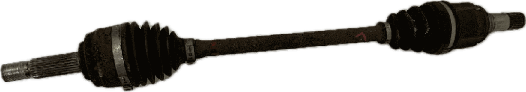 IMG_6839.png