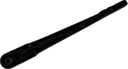 IMG_6622.png