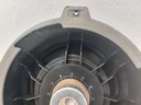 20250728_151948.jpg