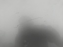 IMG_20250828_104926.jpg