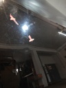 DSCN6344.JPG
