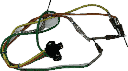 IMG_7585.png