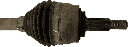 IMG_7731.png