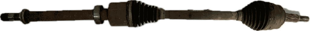 IMG_7726.png
