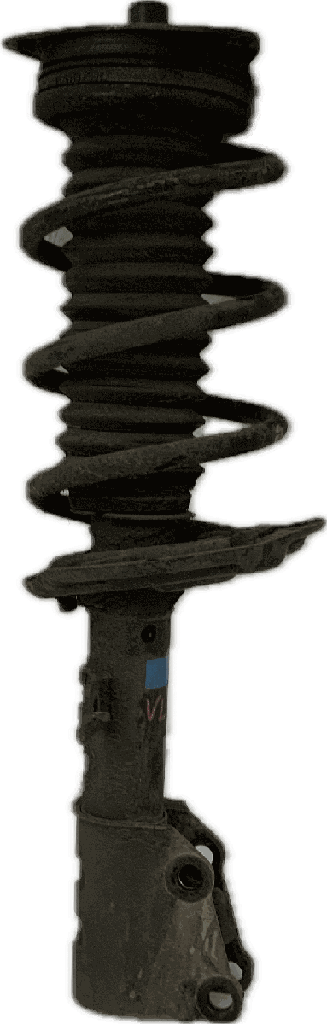 IMG_7707.png