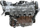 IMG_7762.png