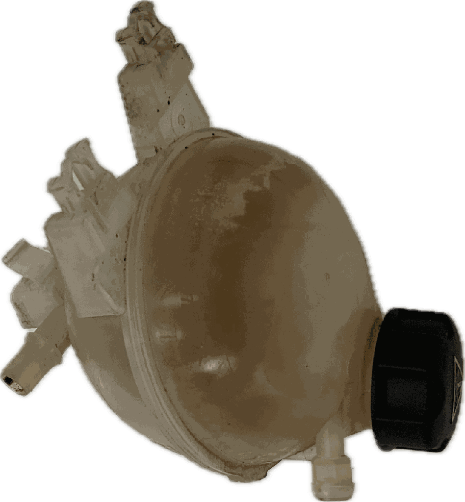IMG_8135.png