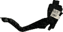 IMG_8117.png