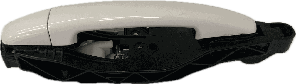 IMG_8092.png