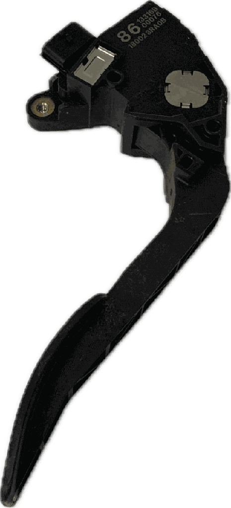 IMG_8937.png