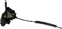 IMG_9004.png
