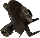 IMG_9538.png