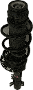IMG_0894.png