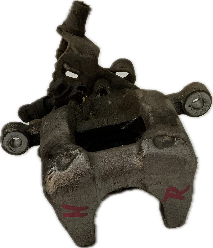 IMG_1219.png