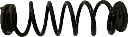 IMG_1208.png