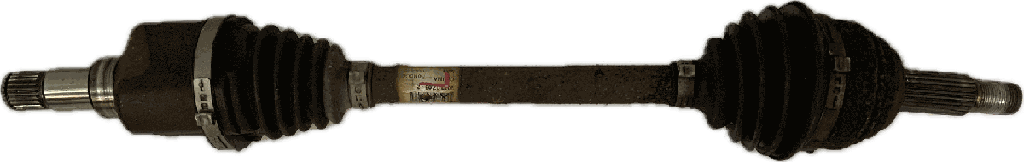 IMG_1806.png