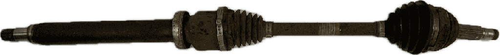 IMG_1810.png