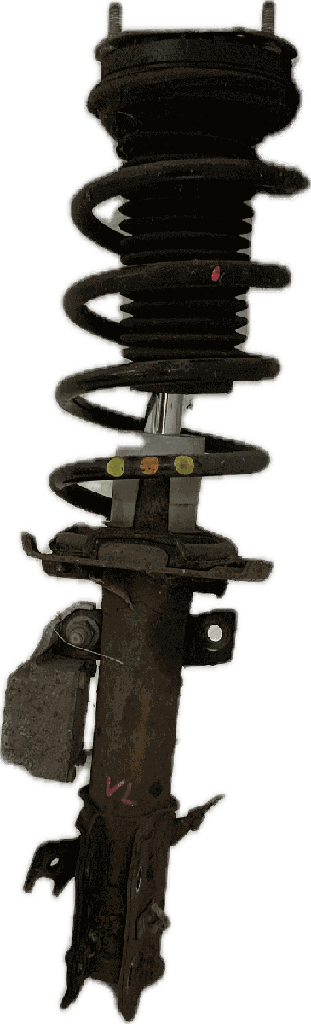 IMG_1798.png