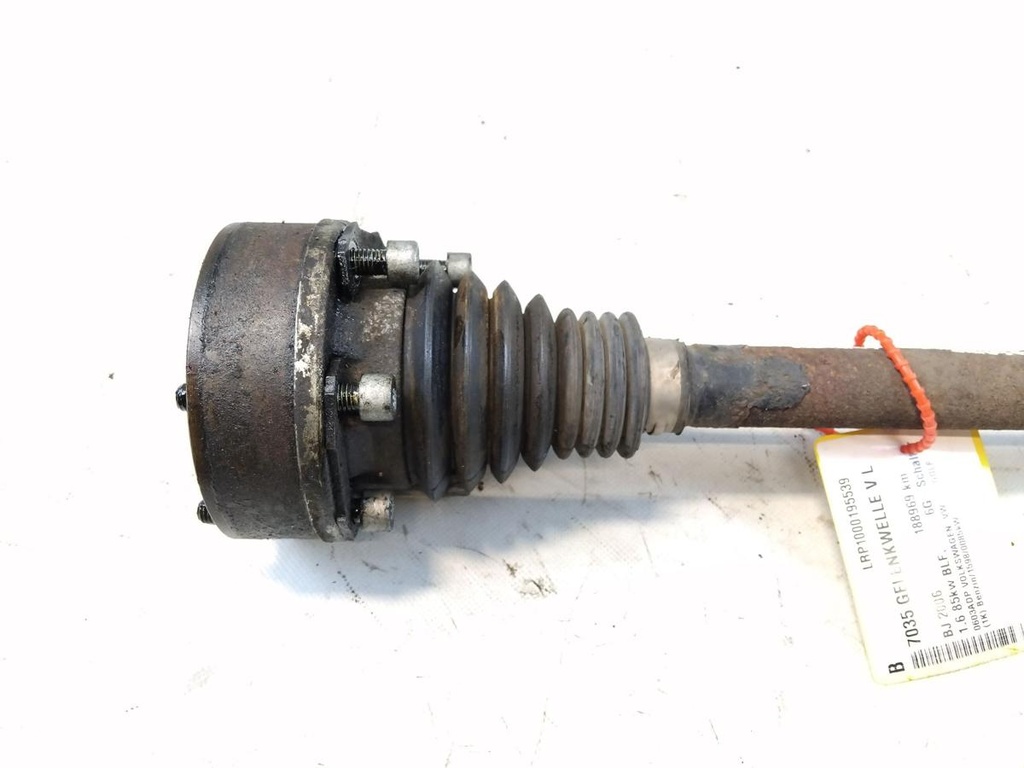 IMG_20251020_123648.jpg