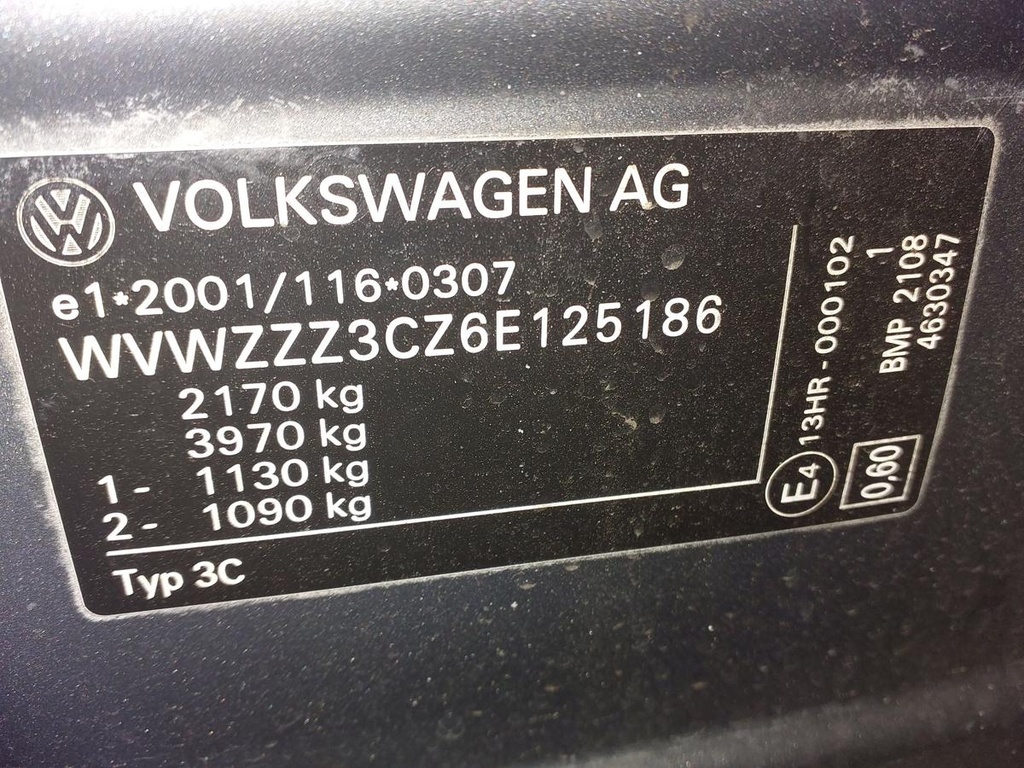 20251014_154953.jpg