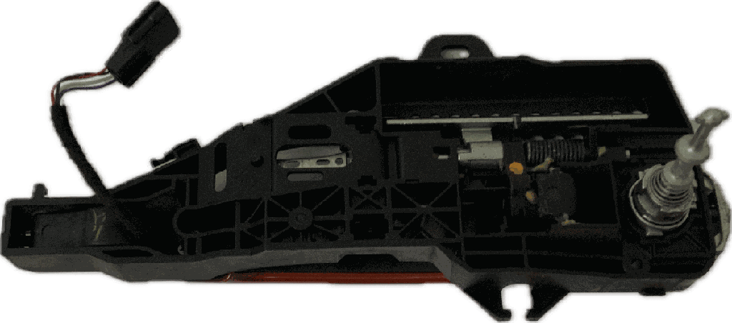 IMG_2520.png
