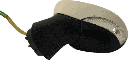 IMG_2461.png