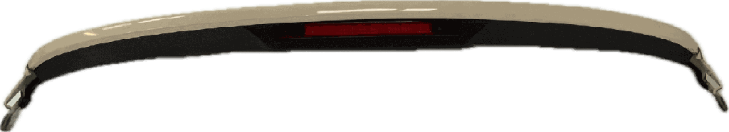 IMG_2597.png