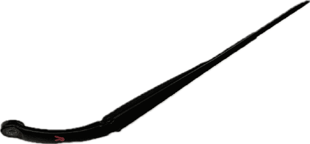 IMG_2466.png