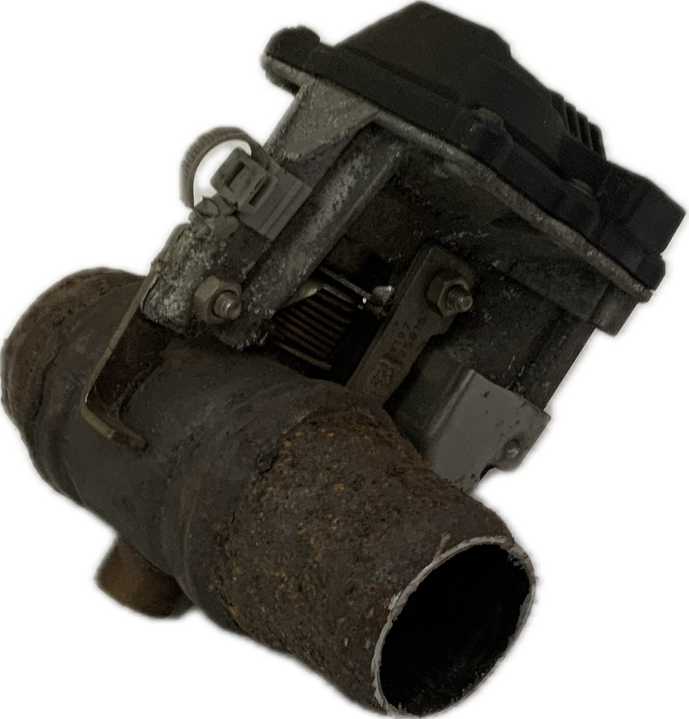 IMG_2423.png