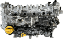 IMG_2815.png