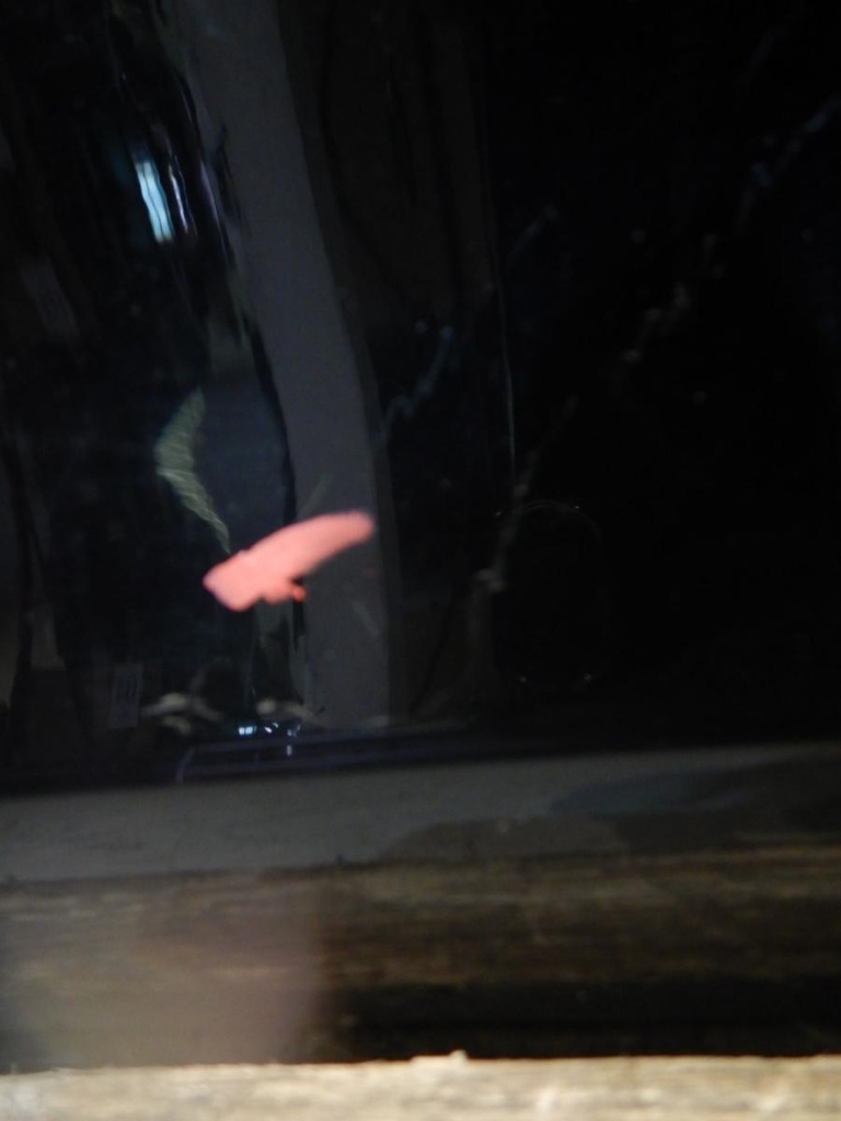 DSCN7472.JPG
