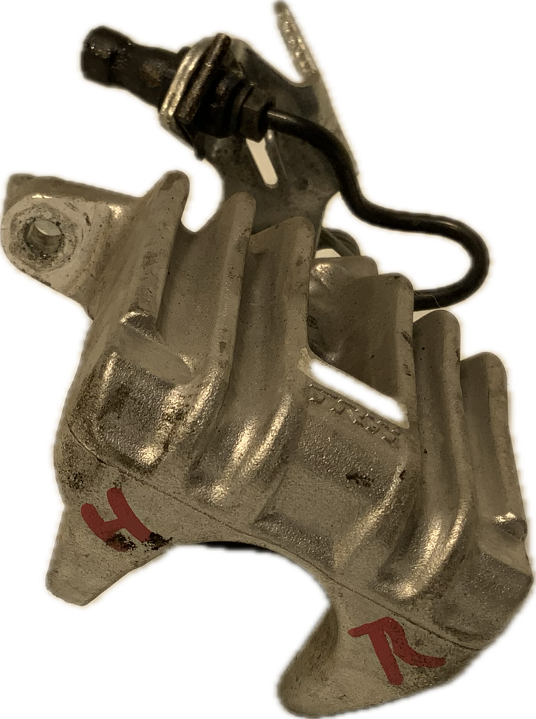 IMG_3239.png