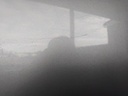 IMG_20251029_105619.jpg