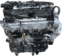 IMG_3272.png